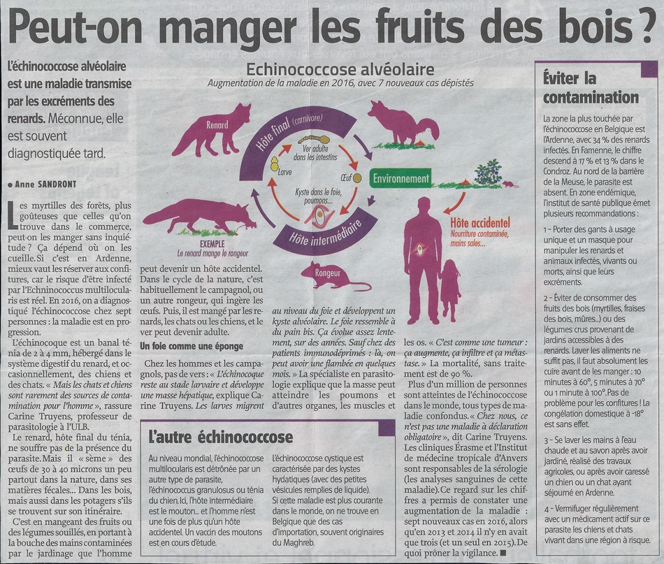 Danger des taupes et rat-taupier